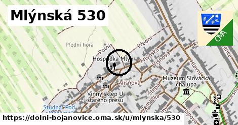 Mlýnská 530, Dolní Bojanovice