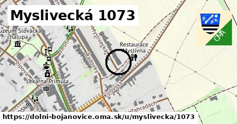 Myslivecká 1073, Dolní Bojanovice