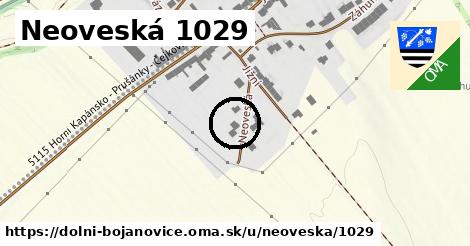 Neoveská 1029, Dolní Bojanovice