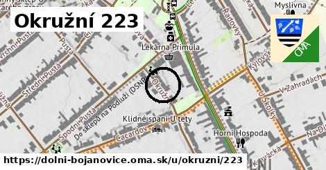 Okružní 223, Dolní Bojanovice