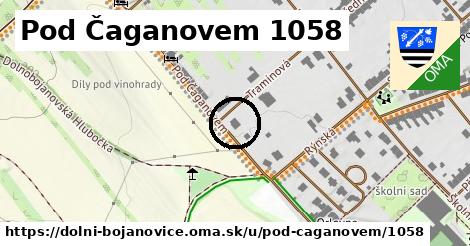 Pod Čaganovem 1058, Dolní Bojanovice