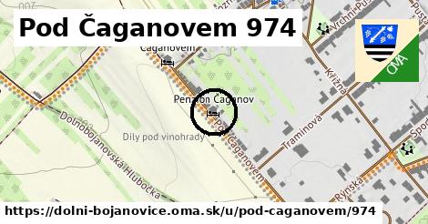 Pod Čaganovem 974, Dolní Bojanovice