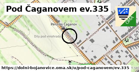 Pod Čaganovem ev.335, Dolní Bojanovice