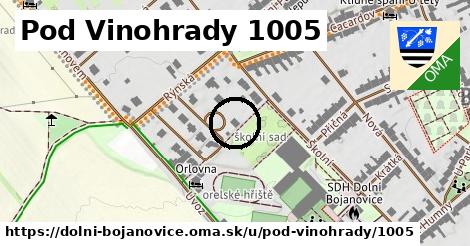 Pod Vinohrady 1005, Dolní Bojanovice