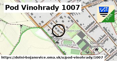 Pod Vinohrady 1007, Dolní Bojanovice