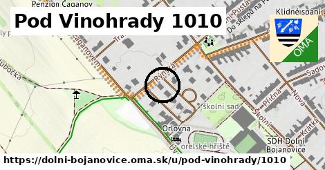 Pod Vinohrady 1010, Dolní Bojanovice