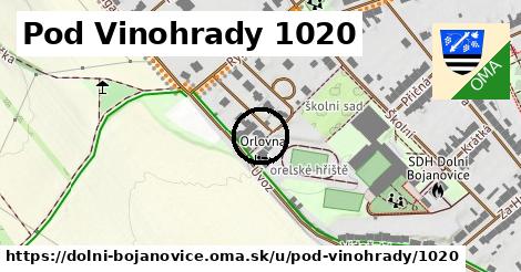 Pod Vinohrady 1020, Dolní Bojanovice