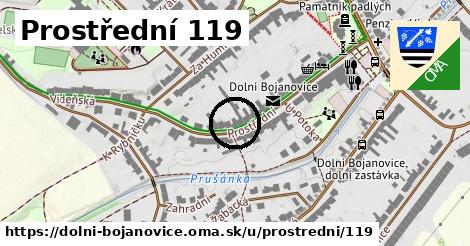 Prostřední 119, Dolní Bojanovice