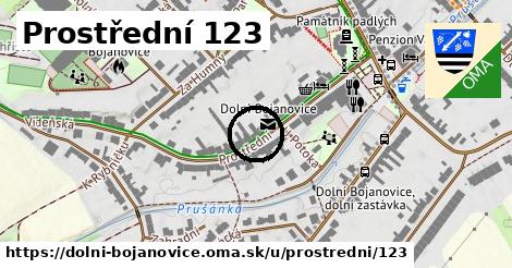 Prostřední 123, Dolní Bojanovice