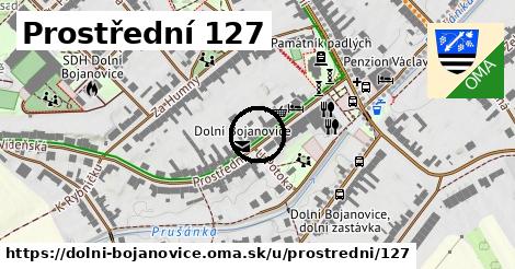 Prostřední 127, Dolní Bojanovice