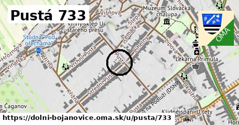 Pustá 733, Dolní Bojanovice