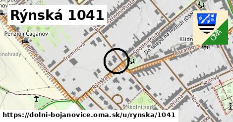 Rýnská 1041, Dolní Bojanovice