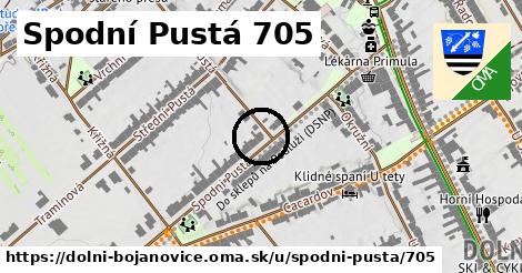 Spodní Pustá 705, Dolní Bojanovice