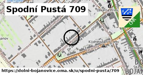 Spodní Pustá 709, Dolní Bojanovice