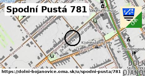 Spodní Pustá 781, Dolní Bojanovice