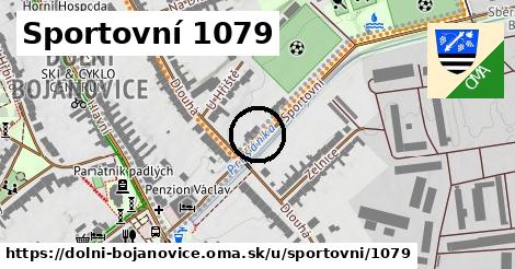 Sportovní 1079, Dolní Bojanovice