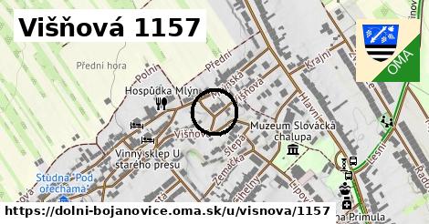 Višňová 1157, Dolní Bojanovice