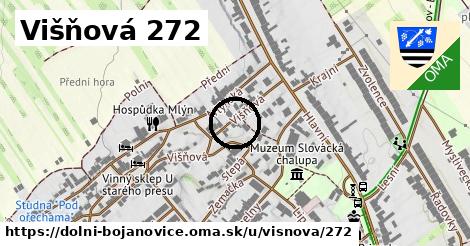 Višňová 272, Dolní Bojanovice