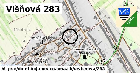 Višňová 283, Dolní Bojanovice