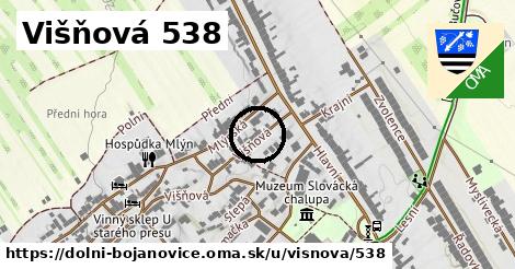 Višňová 538, Dolní Bojanovice