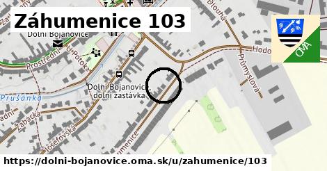 Záhumenice 103, Dolní Bojanovice