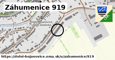 Záhumenice 919, Dolní Bojanovice