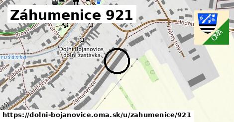 Záhumenice 921, Dolní Bojanovice