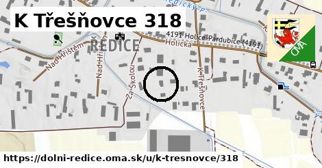 K Třešňovce 318, Dolní Ředice