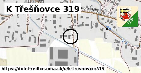 K Třešňovce 319, Dolní Ředice