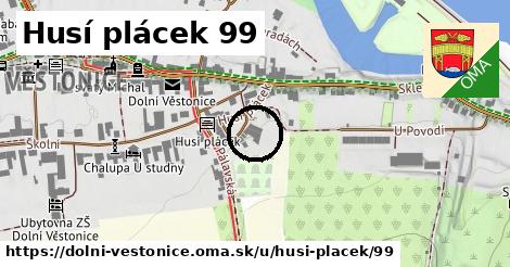 Husí plácek 99, Dolní Věstonice