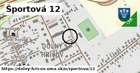Športová 12, Dolný Hričov