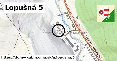 Lopušná 5, Dolný Kubín