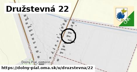 Družstevná 22, Dolný Pial