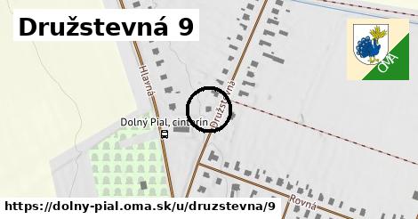 Družstevná 9, Dolný Pial