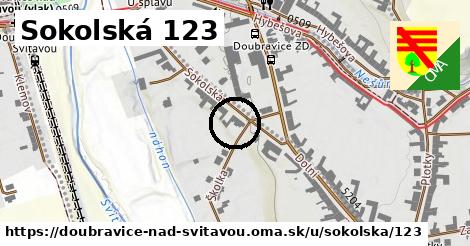 Sokolská 123, Doubravice nad Svitavou