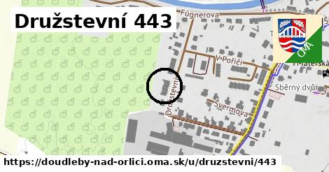 Družstevní 443, Doudleby nad Orlicí