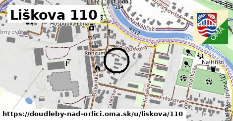 Liškova 110, Doudleby nad Orlicí