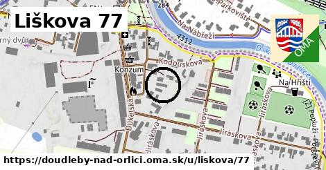 Liškova 77, Doudleby nad Orlicí