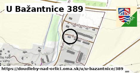 U Bažantnice 389, Doudleby nad Orlicí