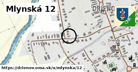 Mlynská 12, Drienov