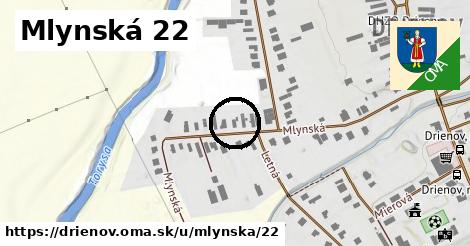 Mlynská 22, Drienov