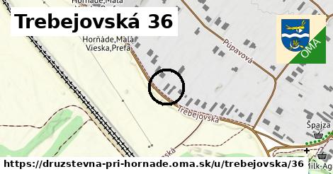 Trebejovská 36, Družstevná pri Hornáde