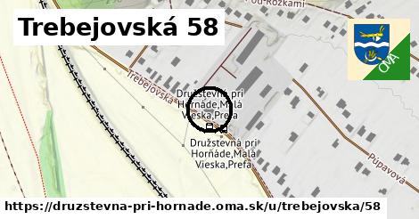 Trebejovská 58, Družstevná pri Hornáde