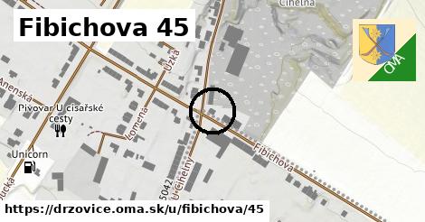 Fibichova 45, Držovice