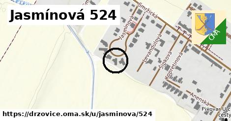Jasmínová 524, Držovice