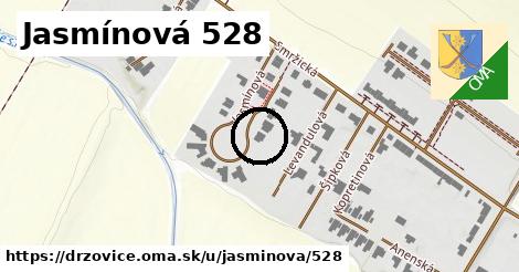 Jasmínová 528, Držovice