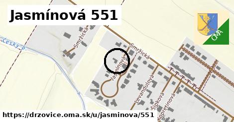 Jasmínová 551, Držovice