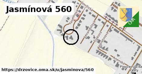 Jasmínová 560, Držovice