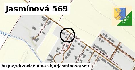 Jasmínová 569, Držovice