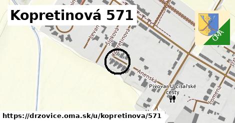 Kopretinová 571, Držovice